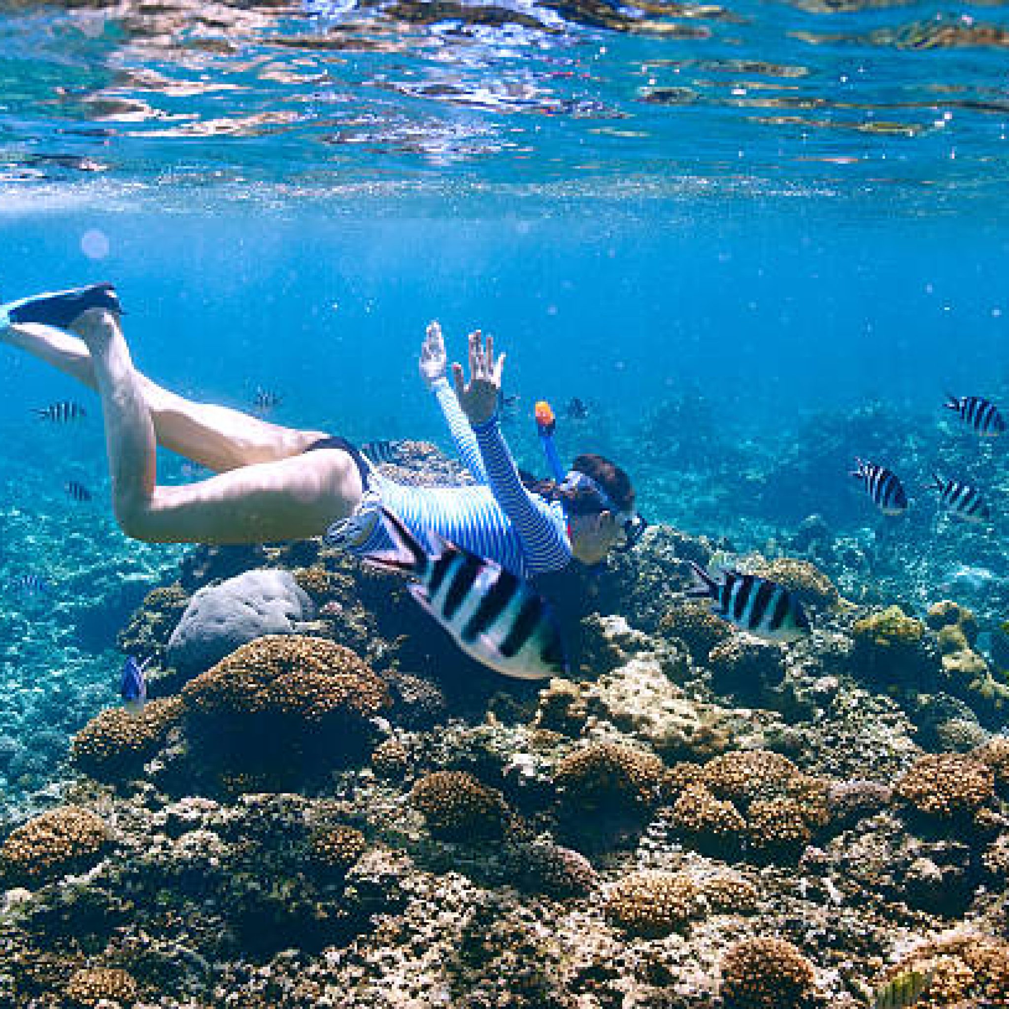Cibo creolo delle Seychelles