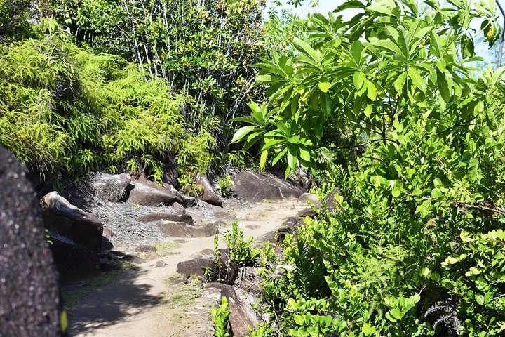 Sentiero natura: escursione privata nella foresta — foto 6