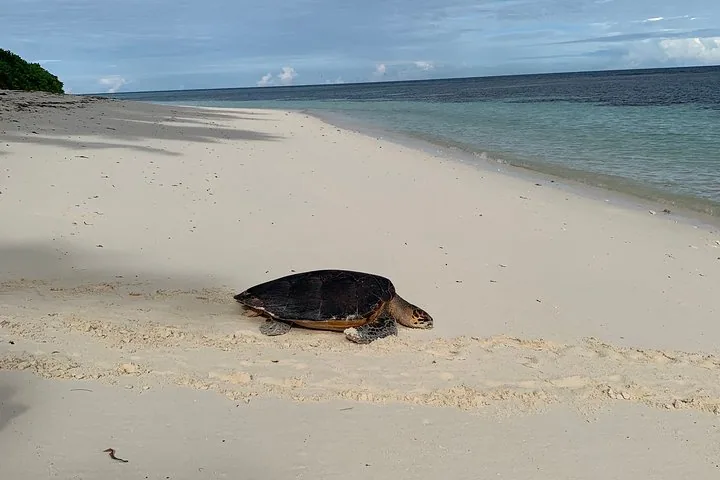 Praslin e La Digue: gita di un giorno (in gruppo) &mdash; foto 5