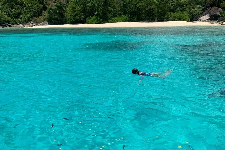 Reef Safari: snorkeling e pesci (in gruppo) — foto 3