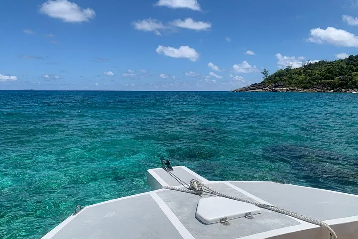 Reef Safari: snorkeling e pesci (in gruppo) — foto 5