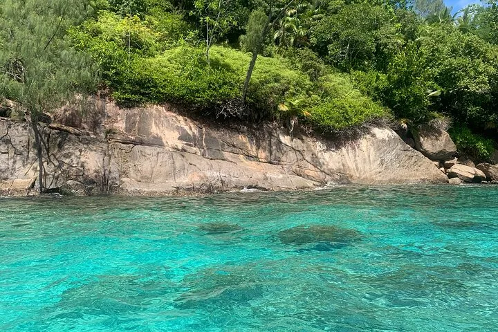 Reef Safari: snorkeling e pesci (in gruppo) — foto 6