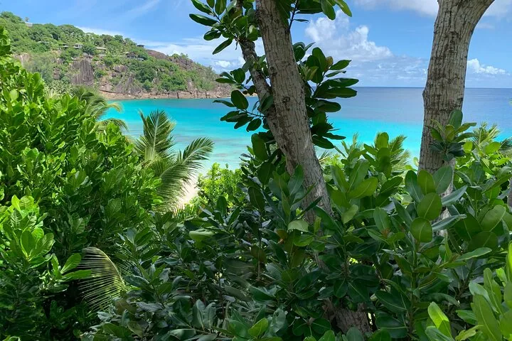 Mah&eacute; giornata intera: cultura e isola con transfer &mdash; foto 2